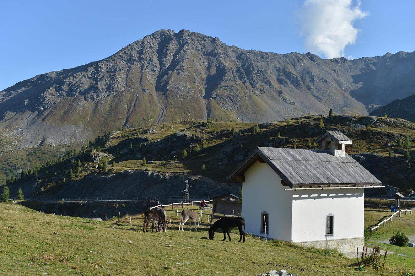 Hotel Interalpen Isolaccia Exterior foto